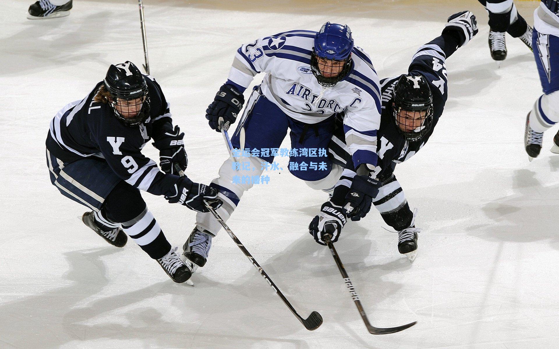 全运会冠军教练湾区执教记，汗水、融合与未来的播种